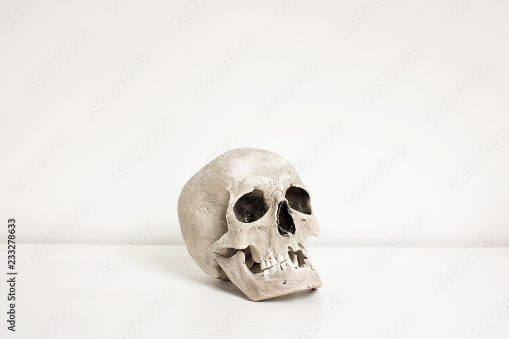 Human skull laid on white desk in front of white wall with space around Human skull laid on white desk in front of white wall with space around