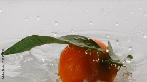 clementine falling in water with splashers photo