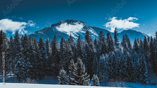 Verschneite Winterlandschaft in den Bergen