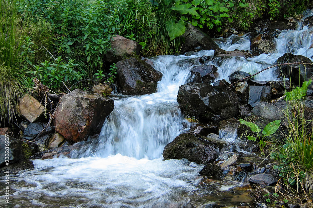 A small creek flows through the forest