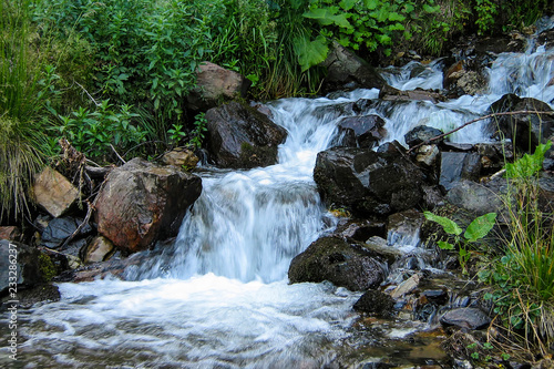 Fototapeta Naklejka Na Ścianę i Meble -  A small creek flows through the forest