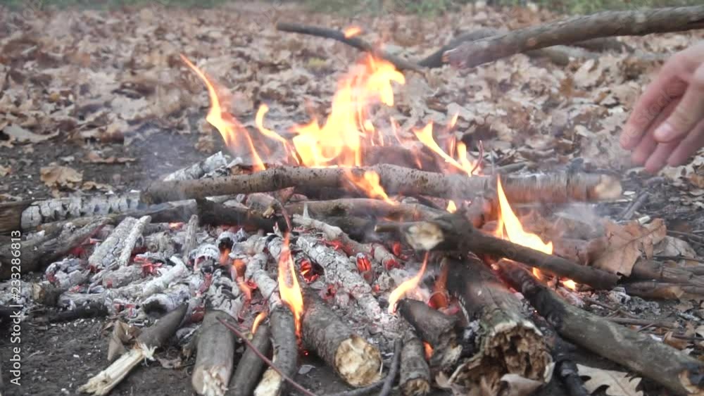 Background with orange fire, campfire in summer forest Background with orange fire, campfire in summer forest