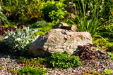 stones and decorative bushes in landscape design