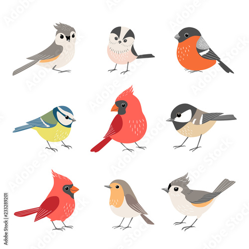 Collection of cute winter birds