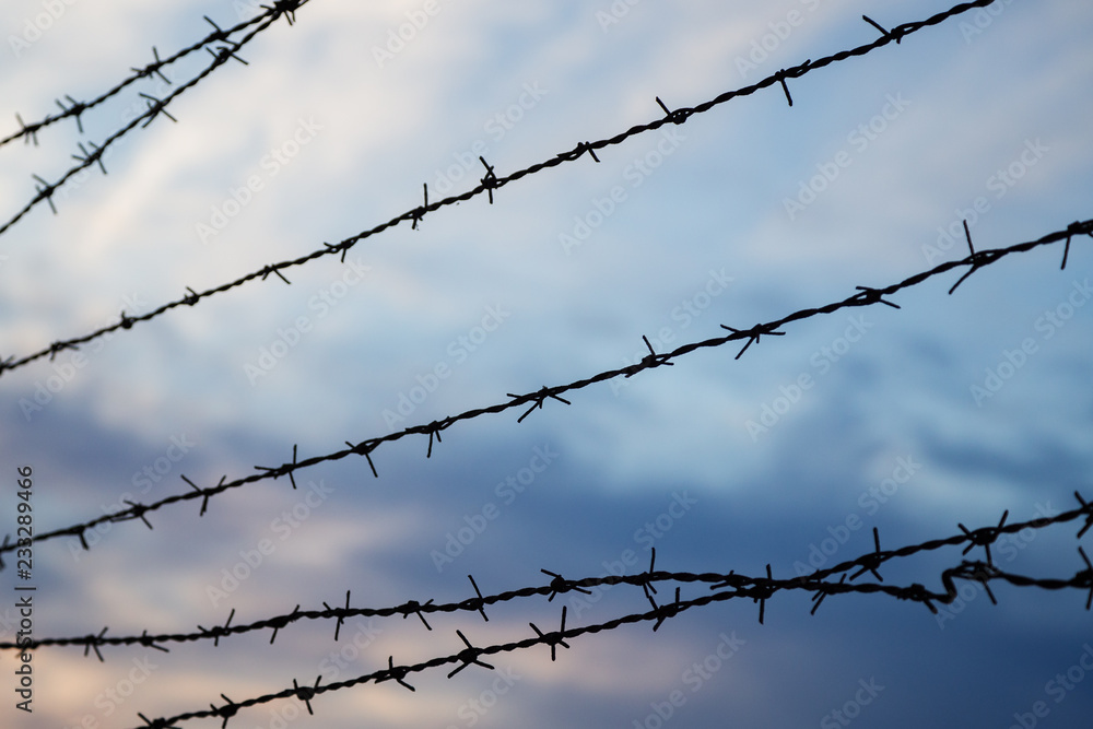 Silhouette of barbed wire fence against blurry cloudy sky in the evening. Focused on the foreground. Silhouette of barbed wire fence against blurry cloudy sky in the evening. Focused on the foreground.
