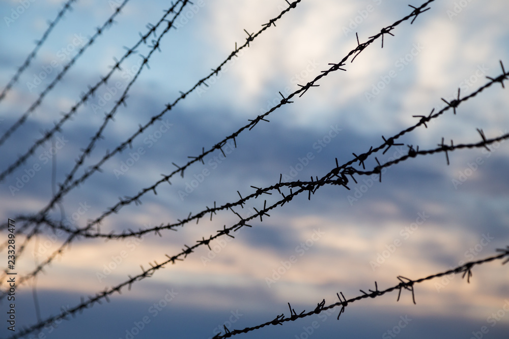Silhouette of barbed wire fence against blurry cloudy sky in the evening. Focused on the foreground. Silhouette of barbed wire fence against blurry cloudy sky in the evening. Focused on the foreground.