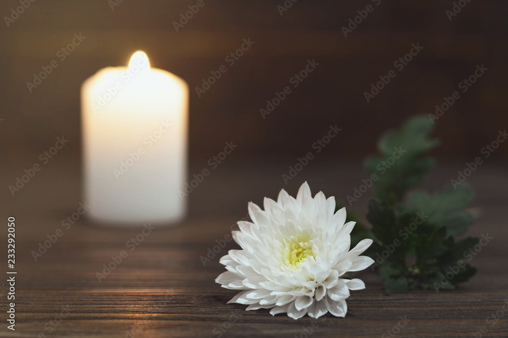 Condolence card with white chrysanthemum flower and candle Condolence card with white chrysanthemum flower and candle
