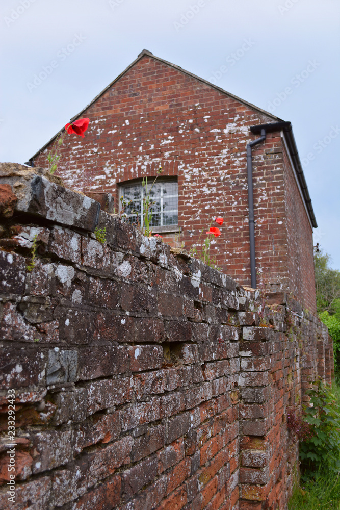 Old Building and Red Brick Wall