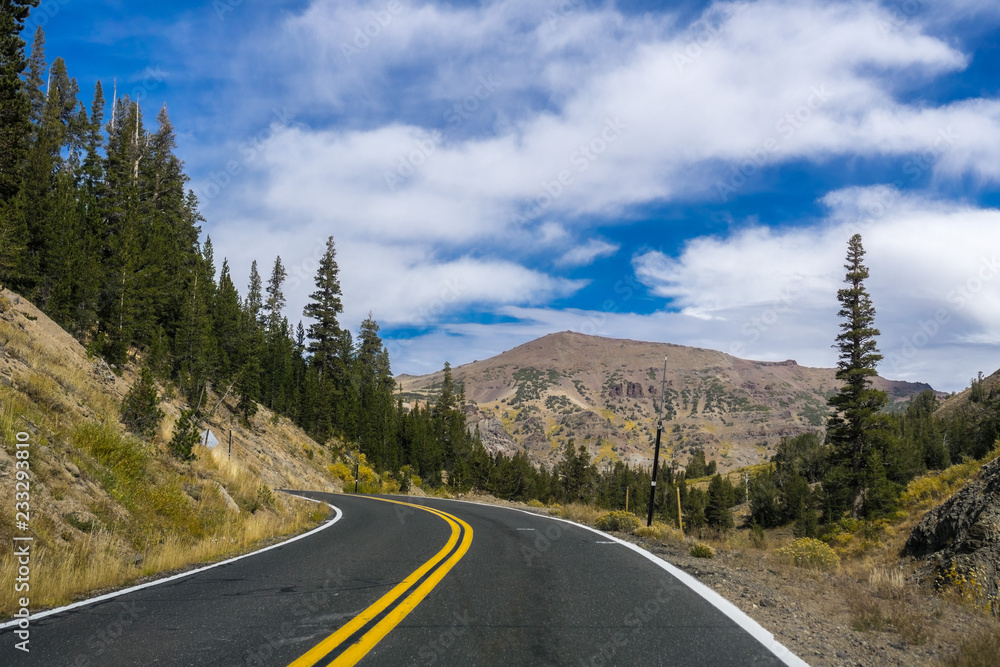 Driving through the Sierra mountains on a sunny day, California