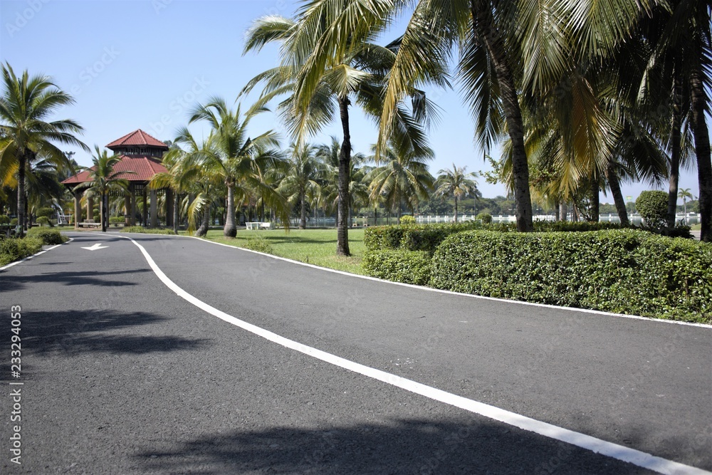 Fototapeta premium road, highway, asphalt