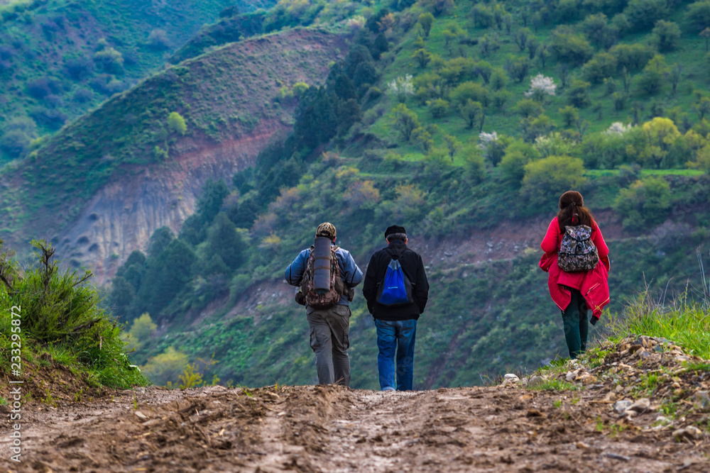Fototapeta premium hikers in the mountains