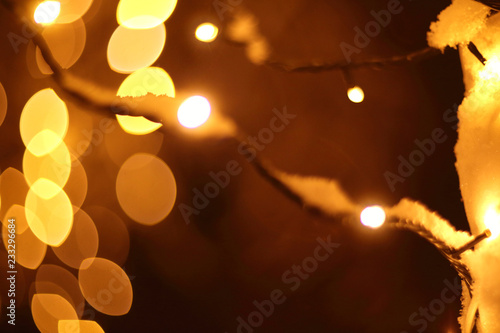 Glowing lights in winter forest