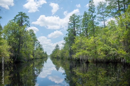 blue waters of the okefenokee 2