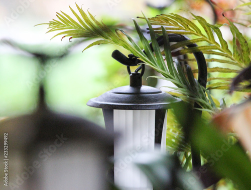 hanging light in garden