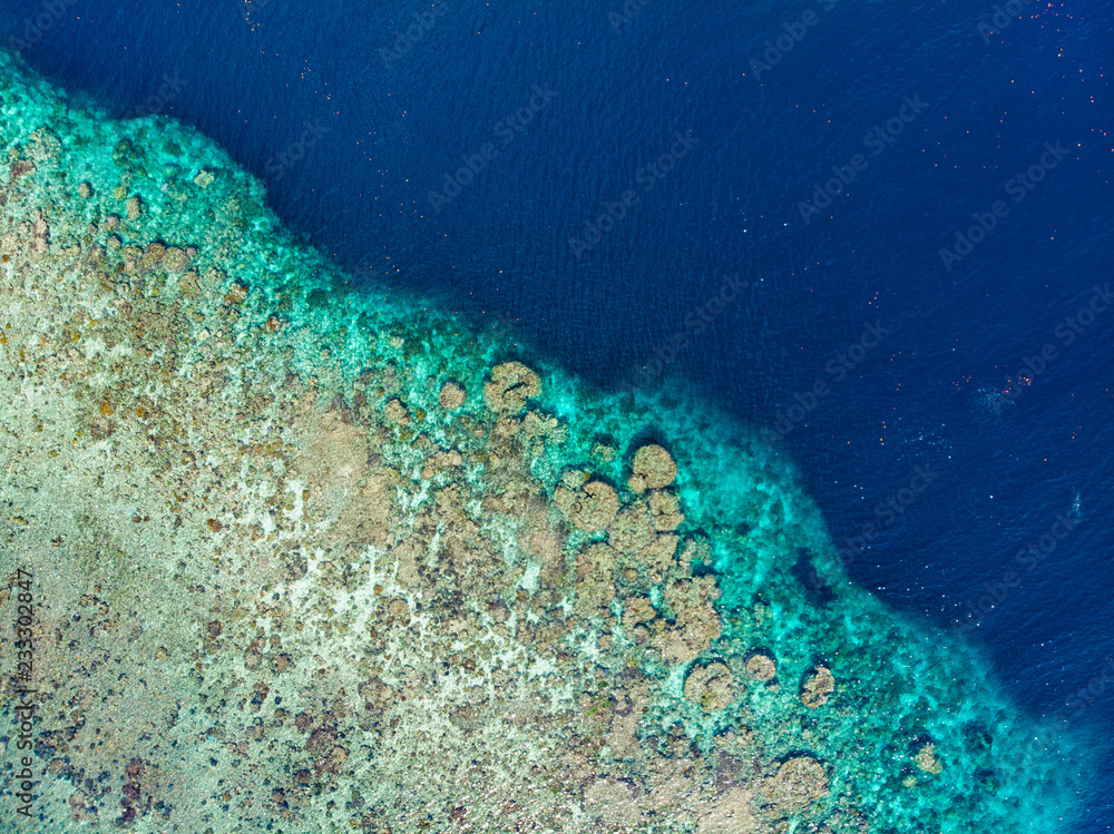 Fototapeta premium Aerial top down view coral reef tropical caribbean sea, turquoise blue water. Indonesia Moluccas archipelago, Banda Islands, Pulau Hatta. Top travel tourist destination, best diving snorkeling.