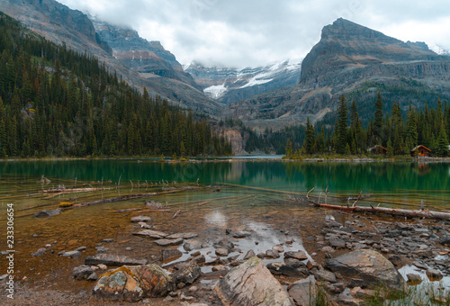 Rocks and logs in the clear alpine water of Lake O'Hara high in the Canadian Rockies with cabins and mountains in the overcast background