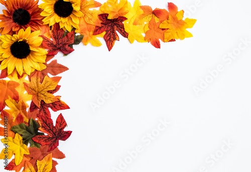 Autumn themed border with colorful leaves  flowers and decorations on a white background. Fall design element frame and background.