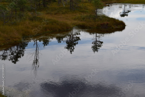 Kemeri national park, bog and lakes landscape picture with trees refelcting in the water photo
