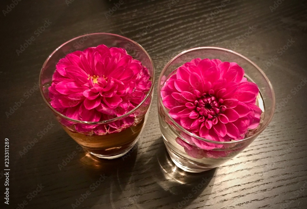 Dalia flowers floating in a water glass Dalia flowers floating in a water glass