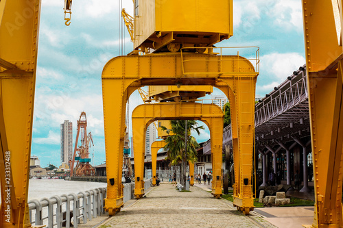 yellow cranes - Belém, Brazil