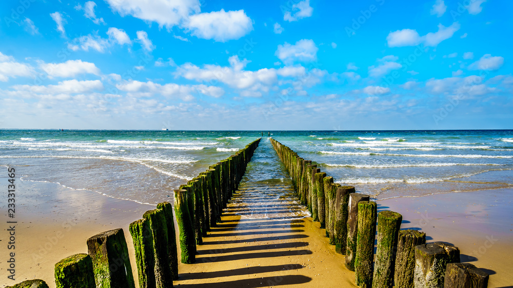 Wooden Posts of a beach erosion protection system along the beach at the town of Vlissingen in Zeeland Province in the Netherlands Wooden Posts of a beach erosion protection system along the beach at the town of Vlissingen in Zeeland Province in the Netherlands