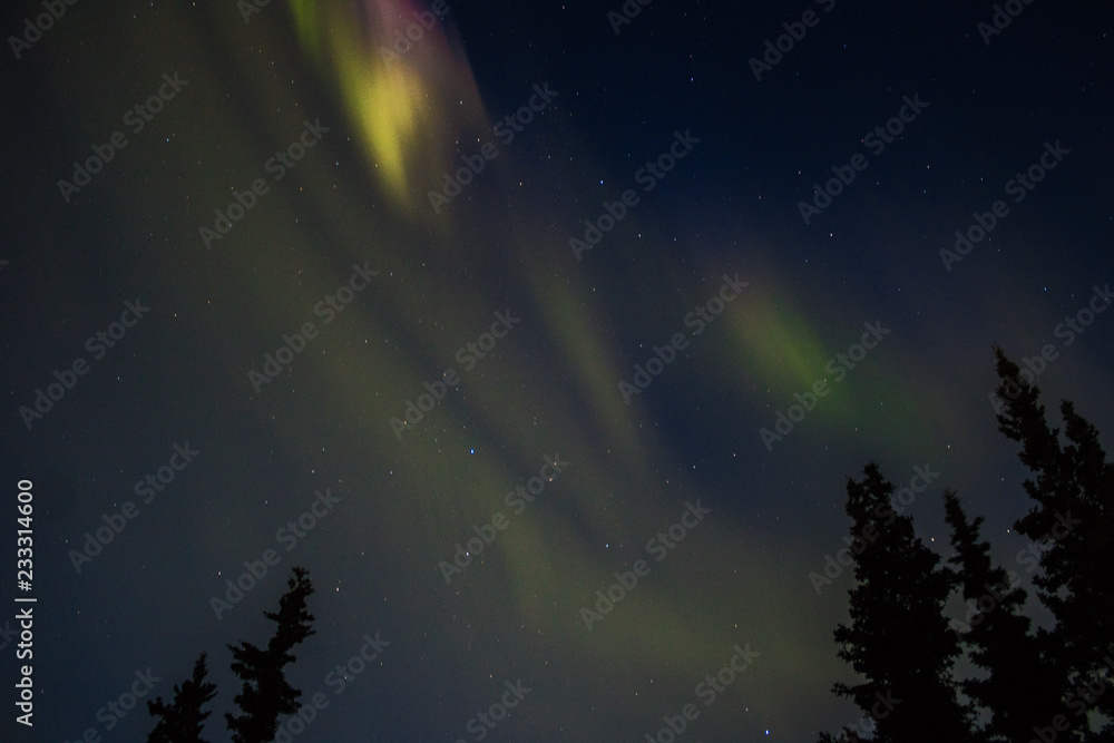 Fototapeta premium Aurora Borealis in Alaska