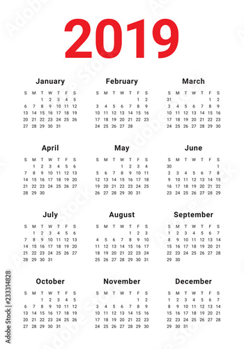 Year 2019 calendar vector design template