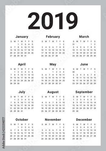 Year 2019 calendar vector design template