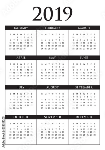 Year 2019 calendar vector design template