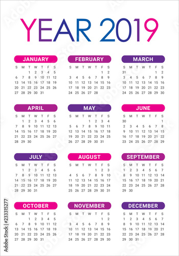 Year 2019 calendar vector design template