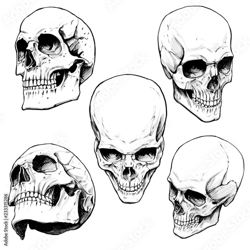 Obraz na płótnie collection of painted skulls