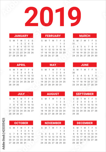 Year 2019 calendar vector design template