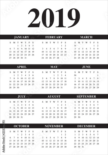 Year 2019 calendar vector design template