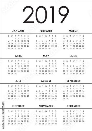 Year 2019 calendar vector design template