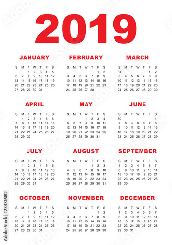 Year 2019 calendar vector design template