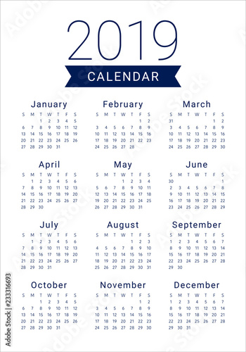 Year 2019 calendar vector design template