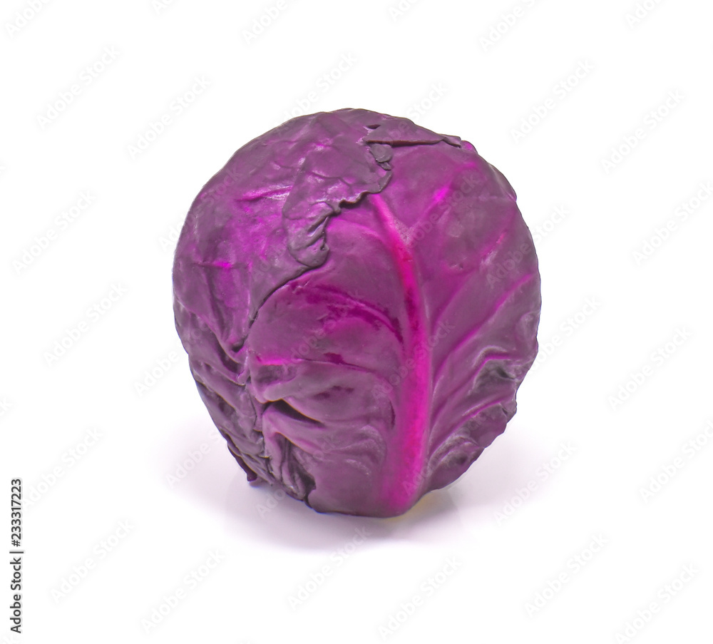 Purple cabbage on white background Purple cabbage on white background