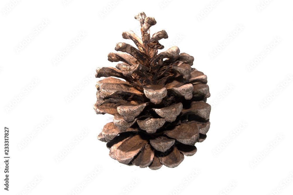cone isolated on white background cone isolated on white background