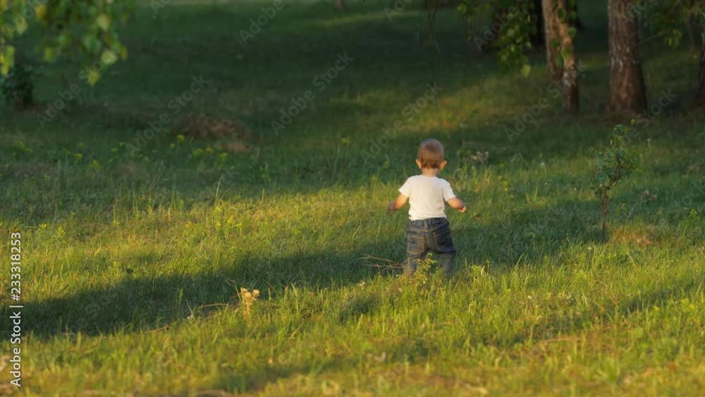 Independent baby learning to walk on the grass, child first steps in nature Independent baby learning to walk on the grass, child first steps in nature