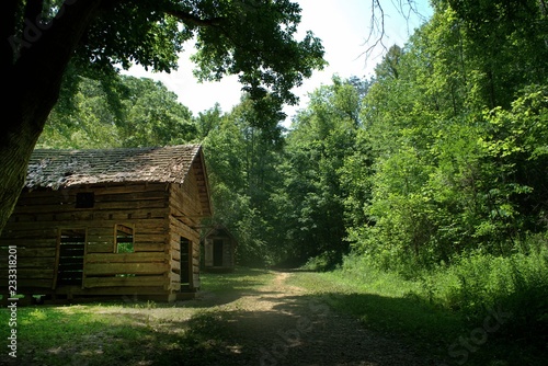 old house in the forest