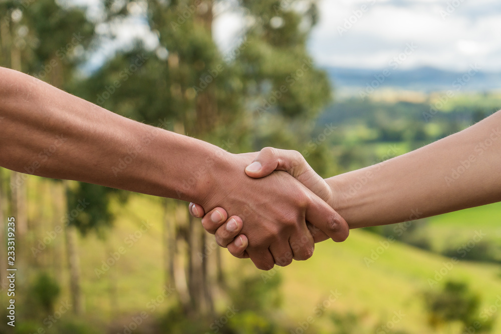 People greeting by shaking hands in the nature, handshake sunset People greeting by shaking hands in the nature, handshake sunset