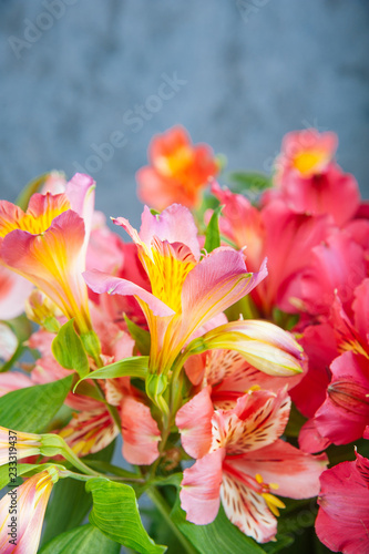 Fototapeta Naklejka Na Ścianę i Meble -  Bouquet of spring flowers