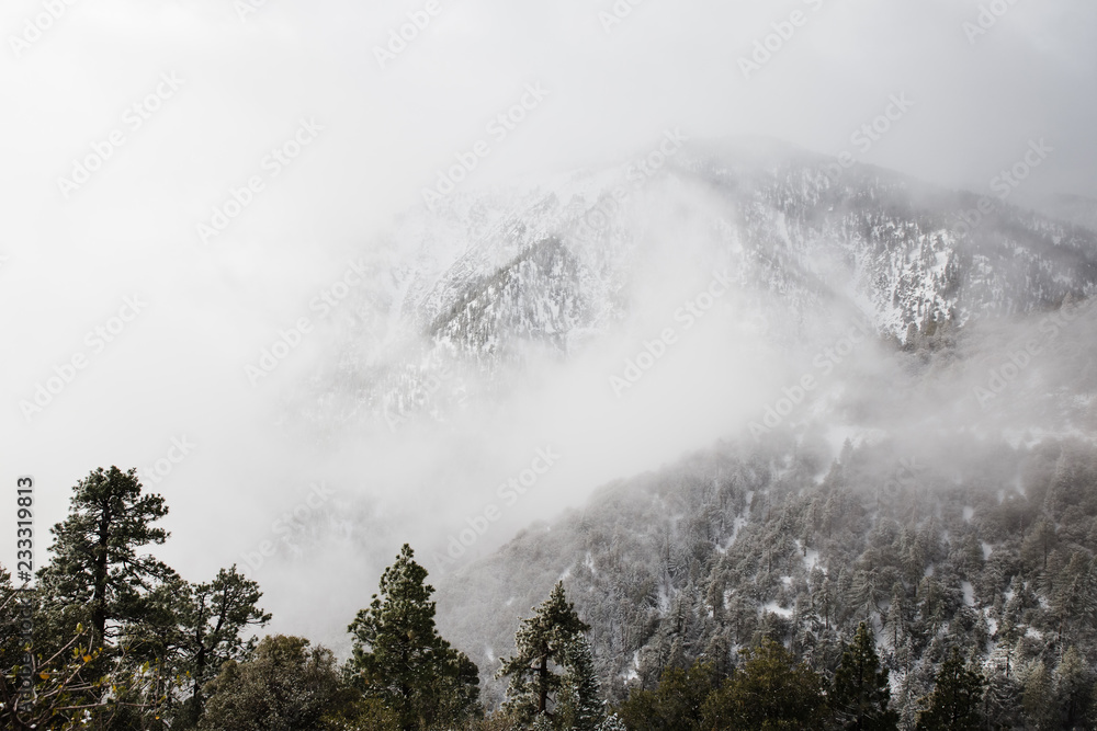 foggy mountain top in winter