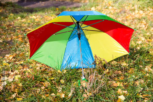 A multi-colored children s umbrella in red  green  yellow  blue is standing on the ground with fallen leaves  in the background are trees and a pond. The concept of autumn  rainy autumn day  walk