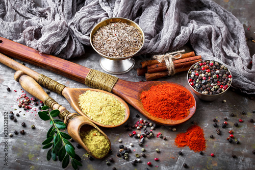 Spices and condiments for food