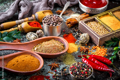 Spices and condiments for food