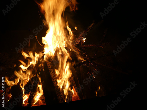 Offenes Feuer mit brennendem Tannenbaum