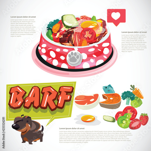 bowl of barf food for pet. healthy food for pet - vector illustration