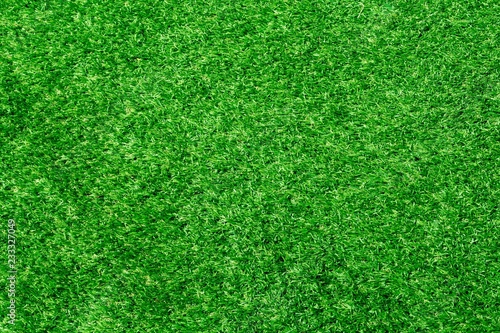 Full frame shot. Artificial grass as background