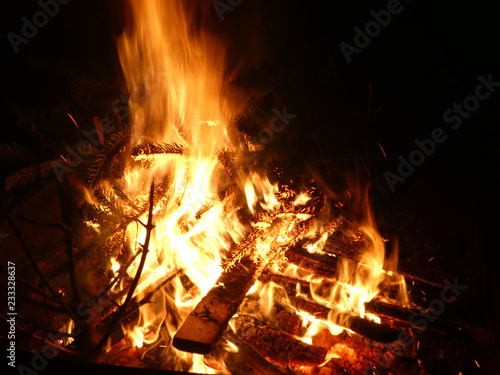 Offenes Feuer mit brennendem Tannenbaum